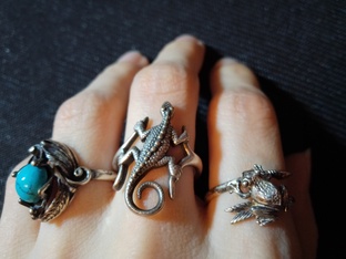 Мои коллекции всего и вся