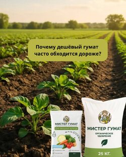 Почему дешёвый гумат часто обходится дороже