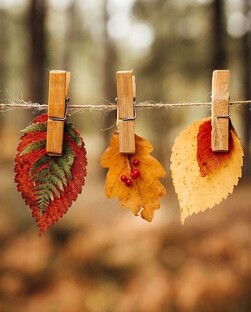 Осенние советы