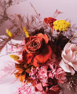 Флористика