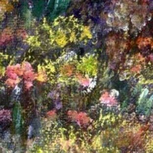 КАРТИНЫ ТУРЫШЕВОЙ