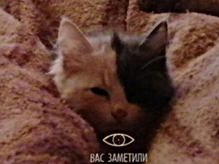 Материал по играм