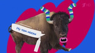 Возьми на озоне!!!!