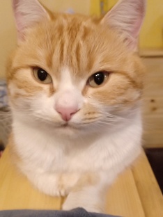 Интересное