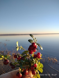 Поездки на речку Каму