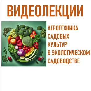 Видеолекции