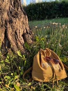 Дорогой дневник