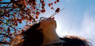 Из Испании домой пешком 