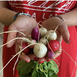 #запискиселянки 