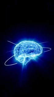 Факты о человеческом теле