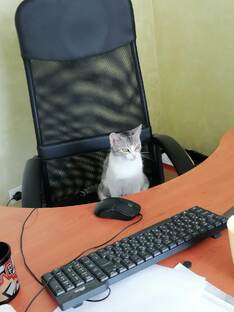 Рассказы, статьи