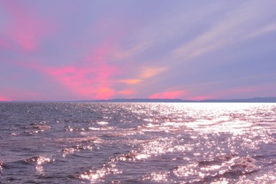 Про Личные Дневники