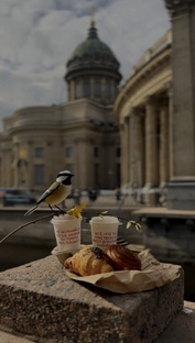 Окультуриваемся