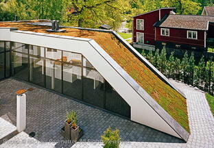 ♻️ЭКО//МИР♻️