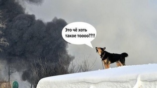 Selfhosting