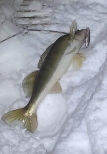 Фильмы. Ловля судака ночью