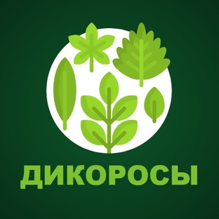 Съедобные растения