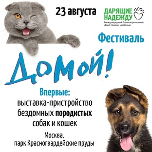 23.08.25. Фестиваль ДОМОЙ! 