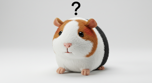 Почему так?