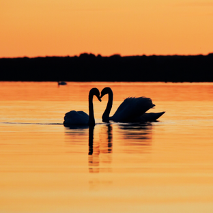 Удивительнее снов