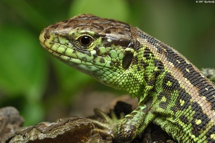 Статьи из цикла "Новое мировоззрение"