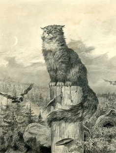 История, мифология и археология кошек