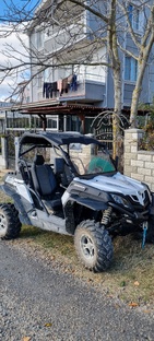 На багги по жизни. 