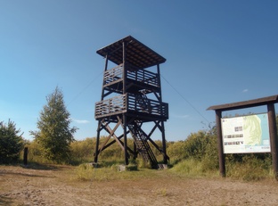 Коккоревский заказник