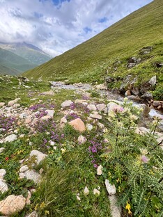 Истории для поднятия духа