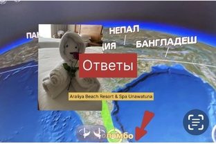 Путешествие _Шри-Ланка (октябрь 2024)