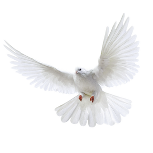 В мире животных@svetlana12021976.ru