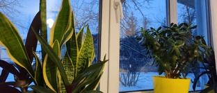 Обычные дни