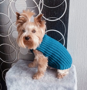 Жилетка крючком для собак и кошек 