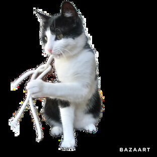 Бормотушки Кеса Туапсинского