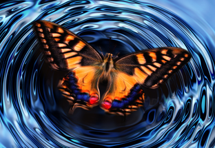 ЧЕЛЛЕНДЖ ЭФФЕКТ БАБОЧКИ