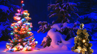 Рождество, Новый Год. 