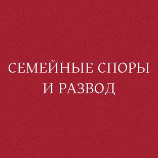 СЕМЕЙНЫЕ СПОРЫ