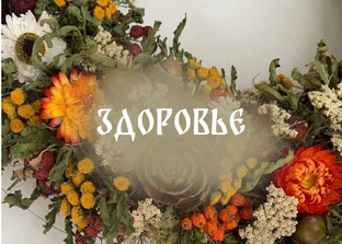 Здоровье 
