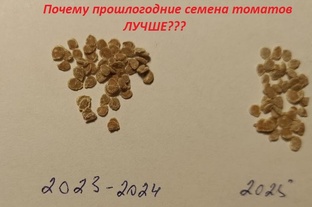 ФЛЕШМОБ-2026