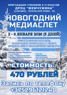 новогодний медиаслет 2026