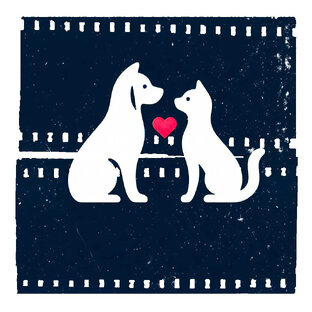 Дневник Волонтера