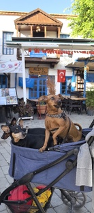 Догнать лето за 80 дней