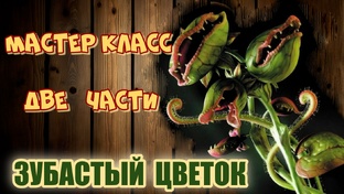 ЦВЕТЫ РАЗНЫЕ