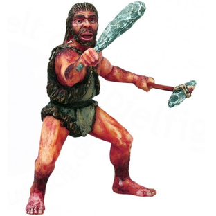 История охраны