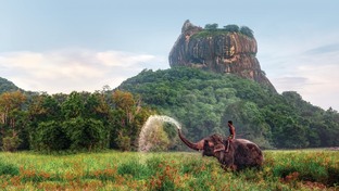  Шри-Ланка 🇱🇰