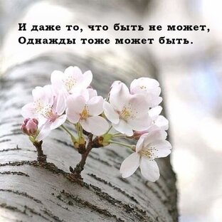 Мелодия моей души