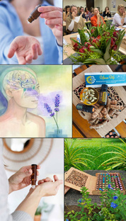 «Арома Азбука Арома-код»