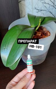 Препараты