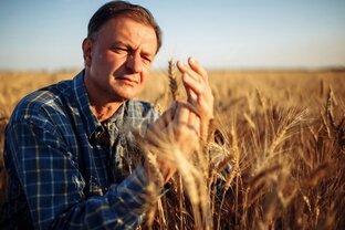 Аграриям к размышлению