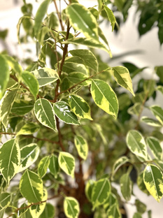 Лайфхаки и советы